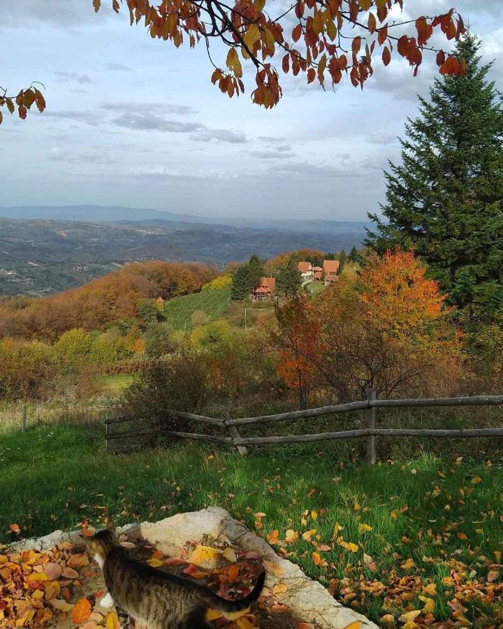 Apartmani Planinska Kuca, Jagodnja Krupanj Exteriér fotografie