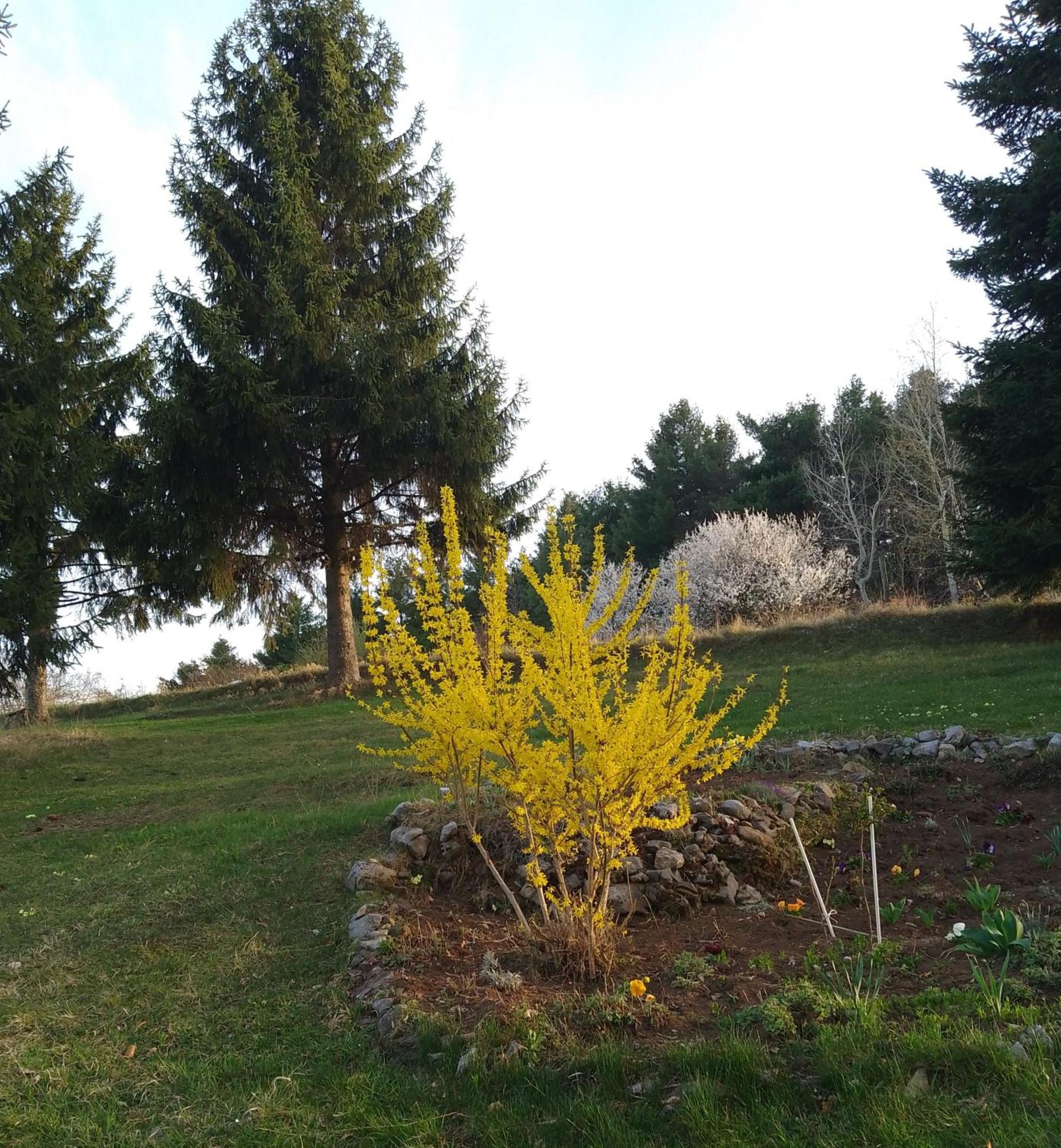Apartmani Planinska Kuca, Jagodnja Krupanj Exteriér fotografie